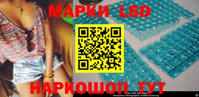 СК Новодвинск