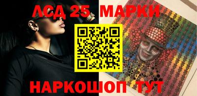 СК Новодвинск