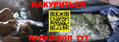 СК Новодвинск