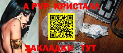 СК Новодвинск