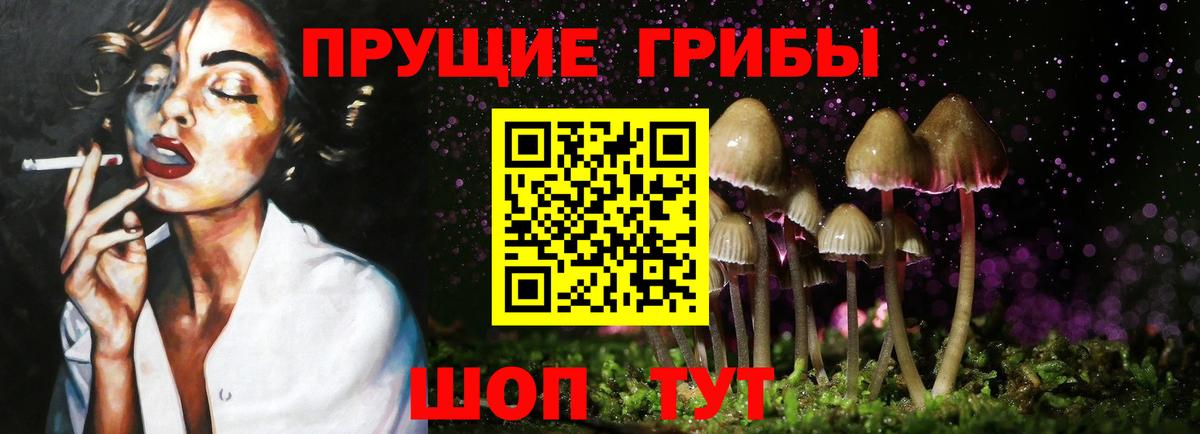 Удомля  Галлюциногенные грибы GOLDEN TEACHER  Вход с VPN 